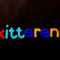 Fotó: Magda Ehlers, Forrás: Pexels