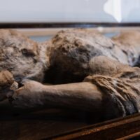 Illusztráció: Kelly