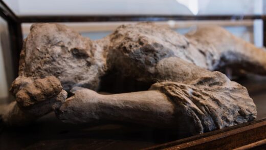 Illusztráció: Kelly