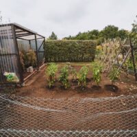 Fotó: Timon Reinhard, Forrás: Pexels