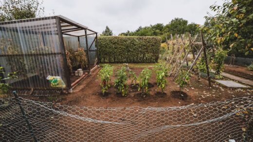 Fotó: Timon Reinhard, Forrás: Pexels