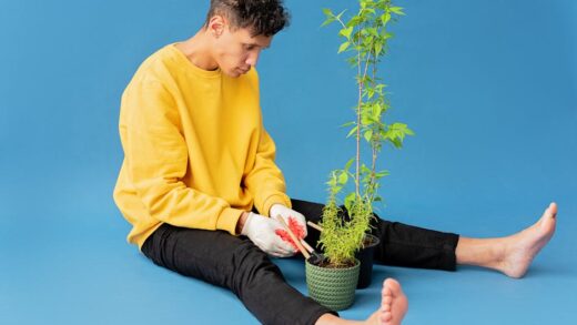 Illusztráció: Mikhail Nilov