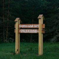 Fotó: Plato Terentev, Forrás: Pexels