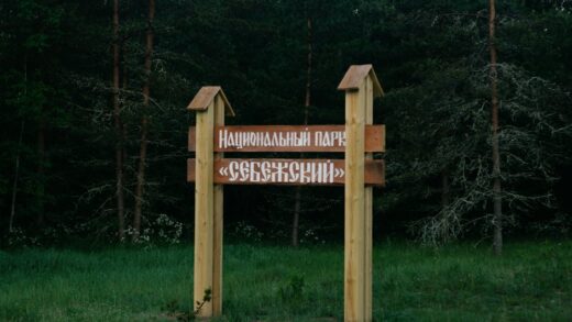 Fotó: Plato Terentev, Forrás: Pexels