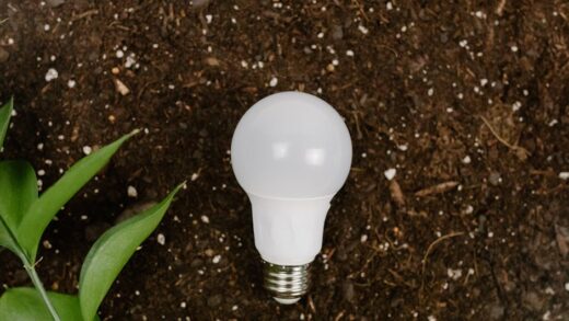 Illusztráció: Tara Winstead